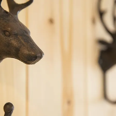 بيت ضيافة Vitalis